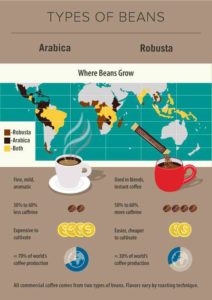 coffee infographic everything you need to know about coffee 2